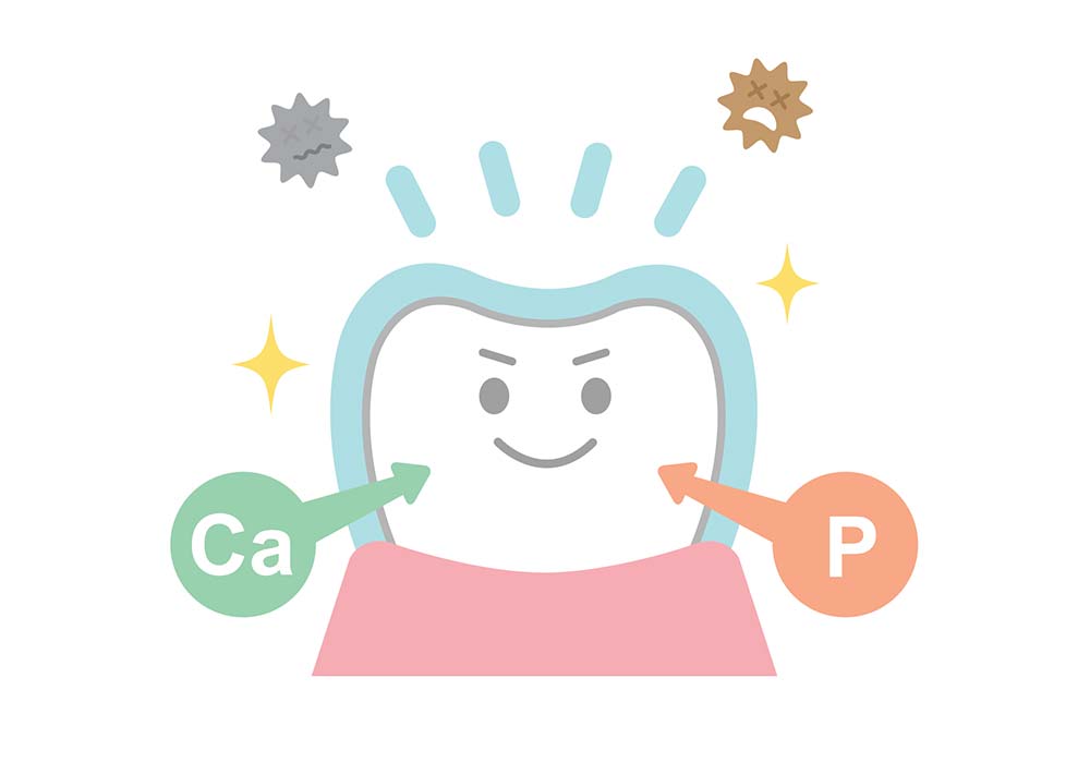 フッ素配合の歯磨き粉を使いましょう