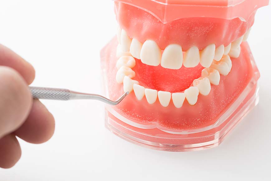 メインビジュアル